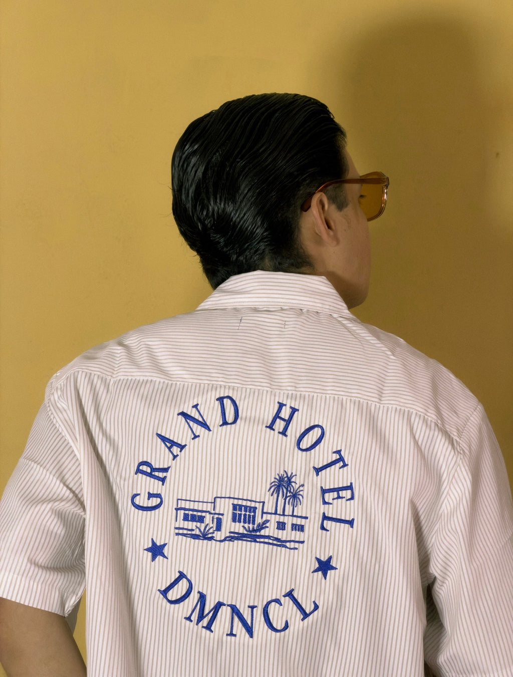 Camisa Bordada a Rayas