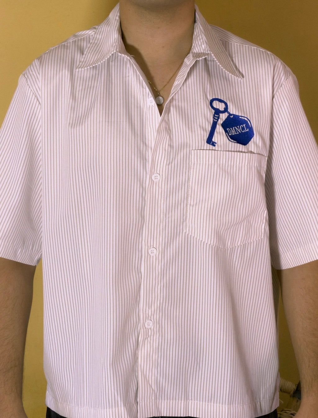 Camisa Bordada a Rayas